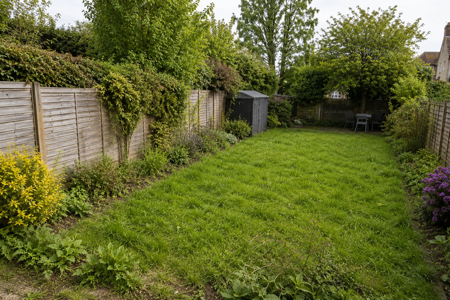 Angled view of simple rear garden before maintenance, with untidy edges and light border weeds.