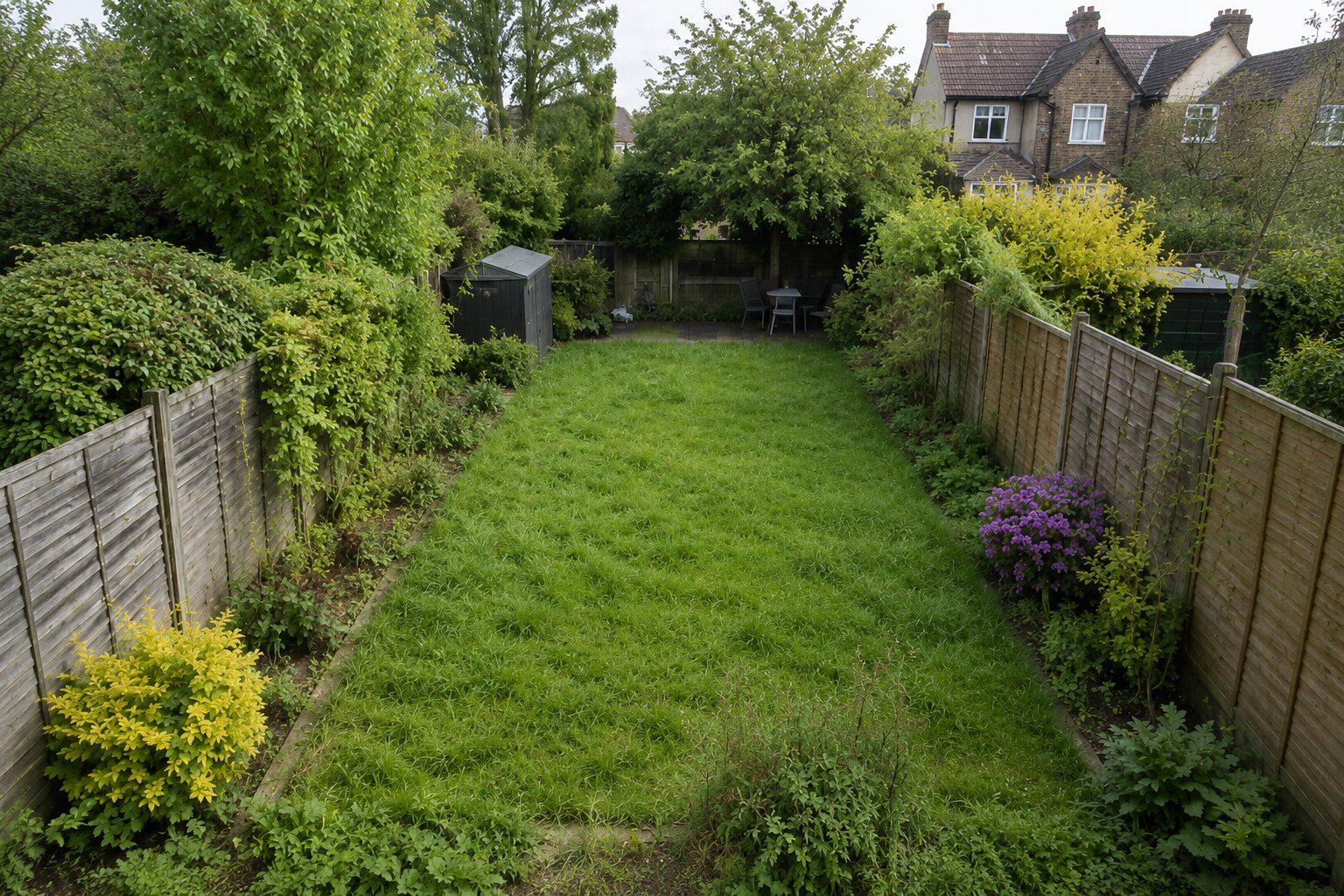 Simple rear garden before maintenance, with slightly long grass, untidy edges and light weeds.