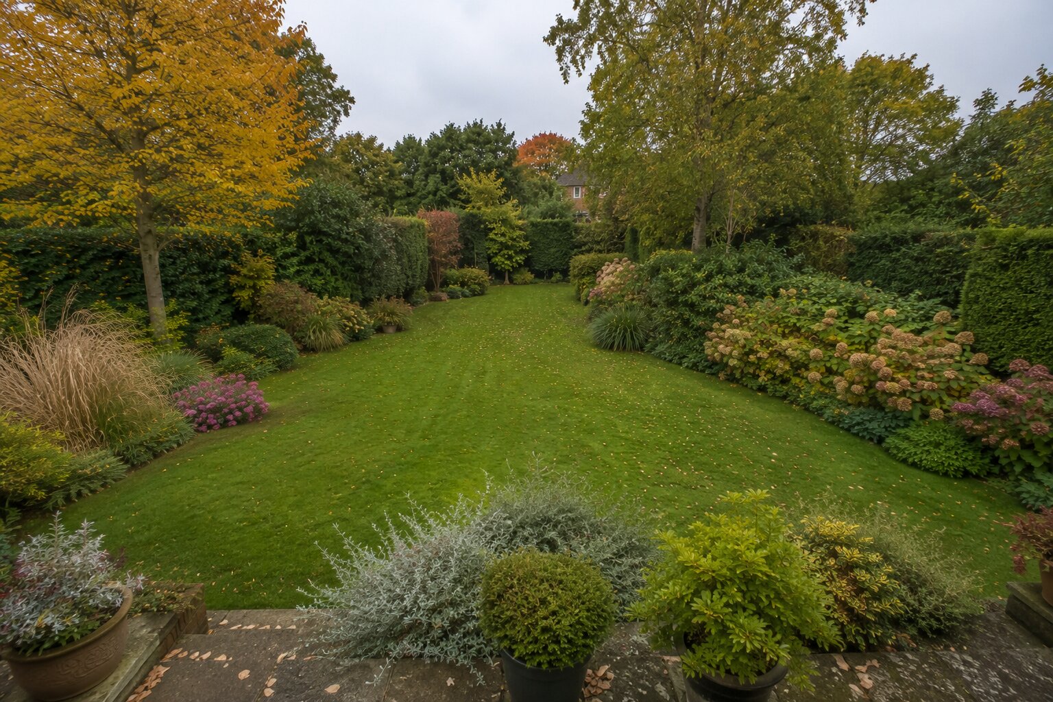 Rear garden viewed from the house before Signature Care maintenance, with tired borders and overgrown planting.